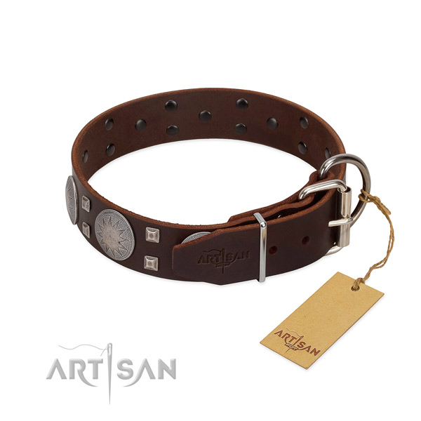 Impressive full grain genuine leather dog collar for daily walking your four-legged friend
