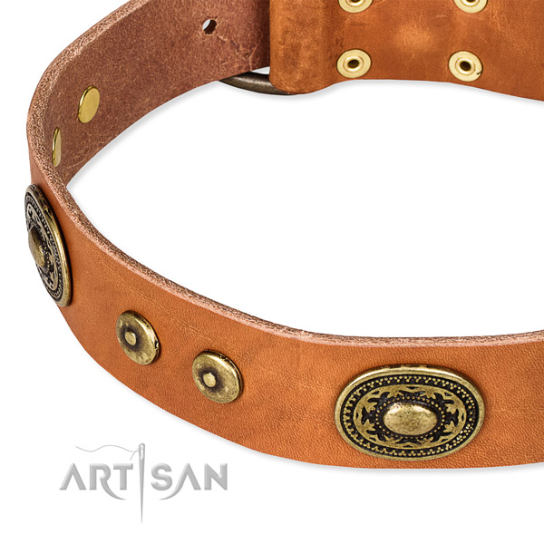 Full grain leather dog collar made of best quality material with studs