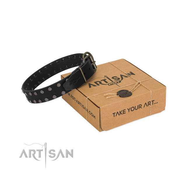 Soft to touch natural leather dog collar with embellishments for your handsome dog