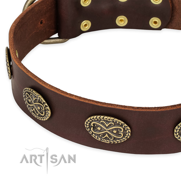 Stunning full grain natural leather collar for your attractive doggie