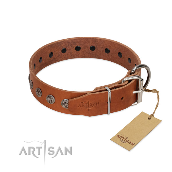 Designer studs on full grain leather collar for stylish walking your dog