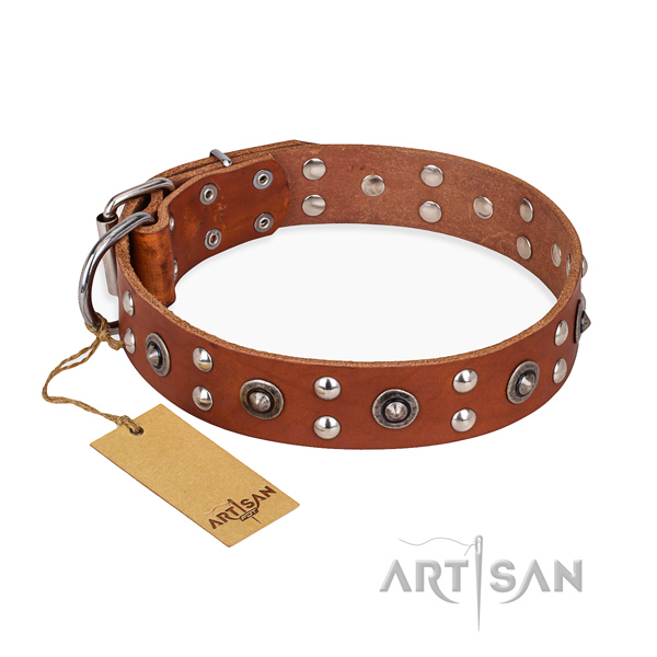Easy wearing awesome dog collar with corrosion resistant hardware