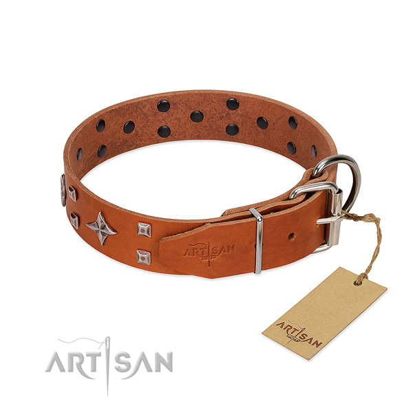 Top notch full grain natural leather collar for your canine walking in style