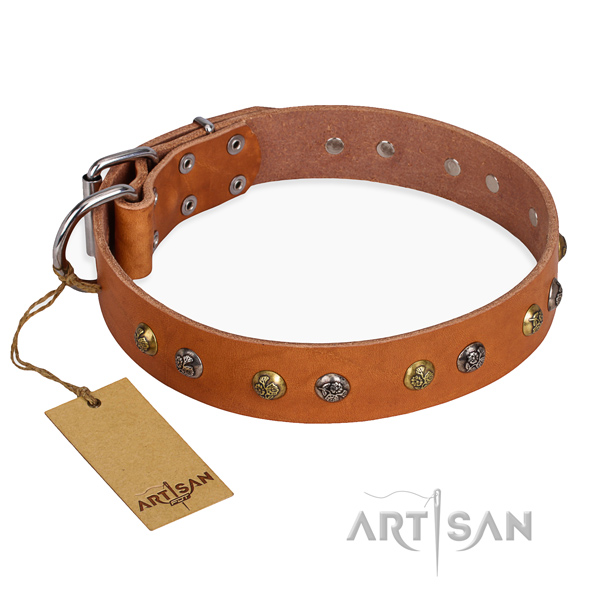Walking fashionable dog collar with durable traditional buckle
