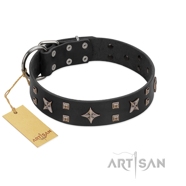 Extraordinary full grain genuine leather dog collar with strong studs