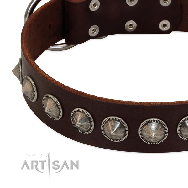 Everyday walking studded leather collar for your dog