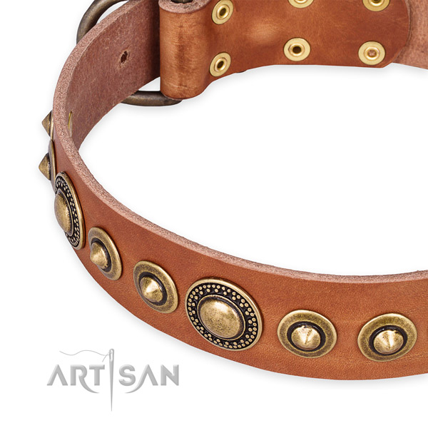 Top rate full grain genuine leather dog collar handcrafted for your attractive four-legged friend