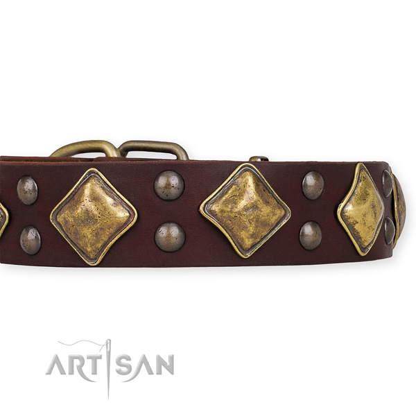 Natural leather dog collar with stylish design rust-proof adornments