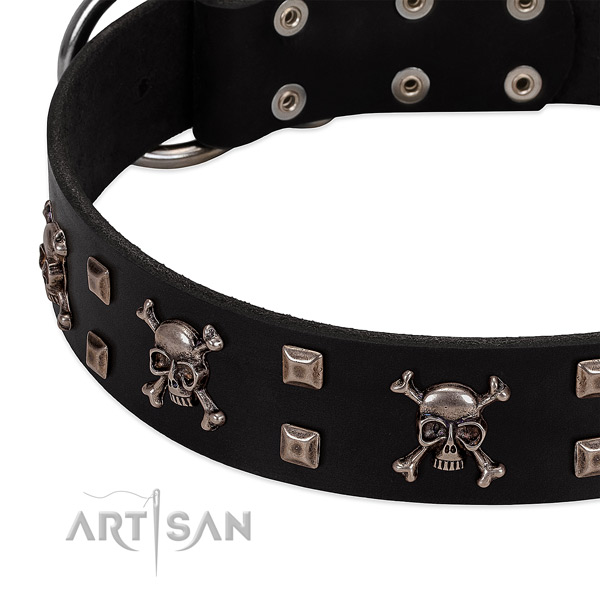 Significant collar of leather for your impressive dog