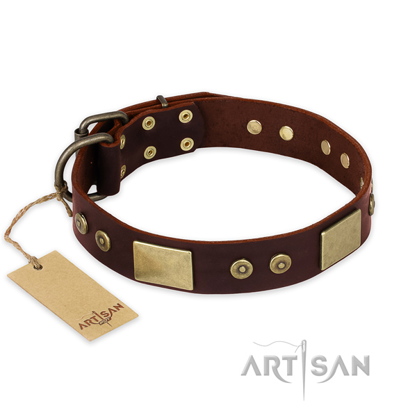Exceptional natural genuine leather dog collar for daily use