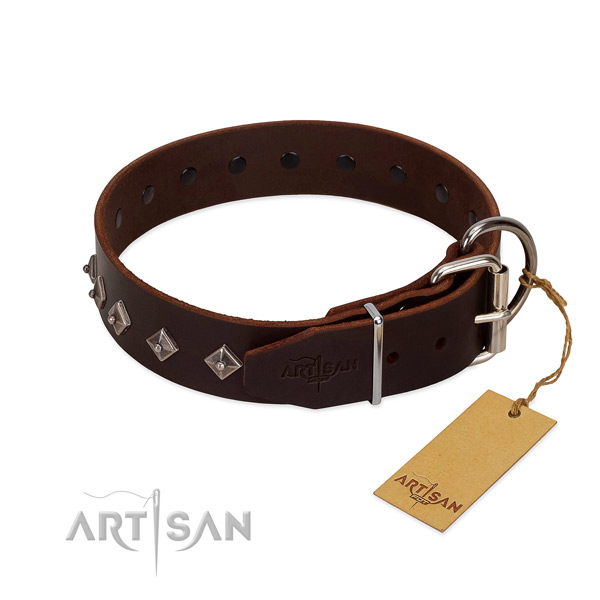 Unusual studs on genuine leather collar for stylish walking your four-legged friend