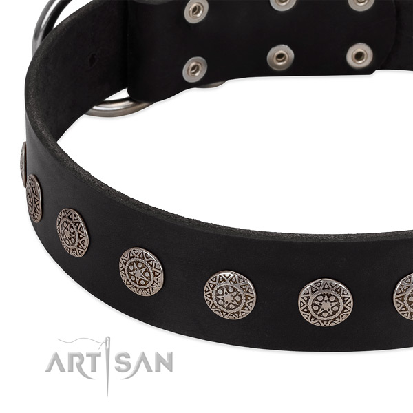 Extraordinary dog collar of natural leather with decorations