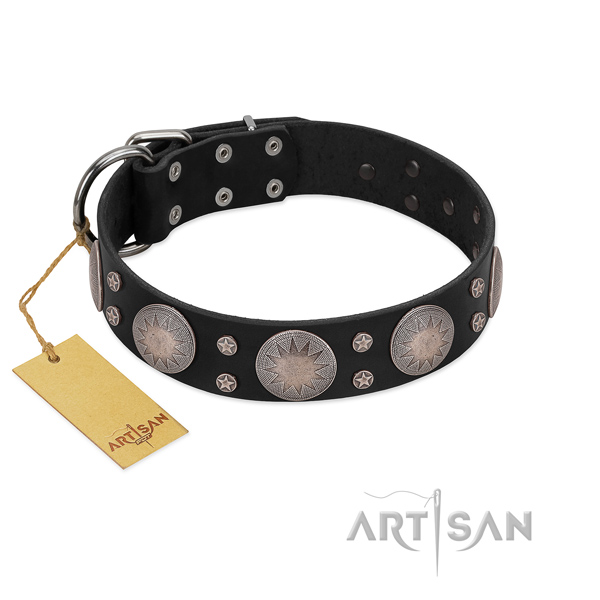 Exceptional embellished natural leather dog collar
