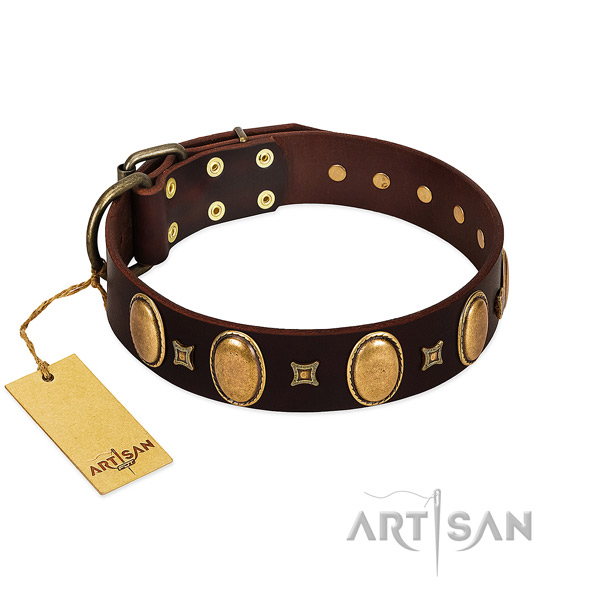 Genuine leather dog collar with significant studs for stylish walking
