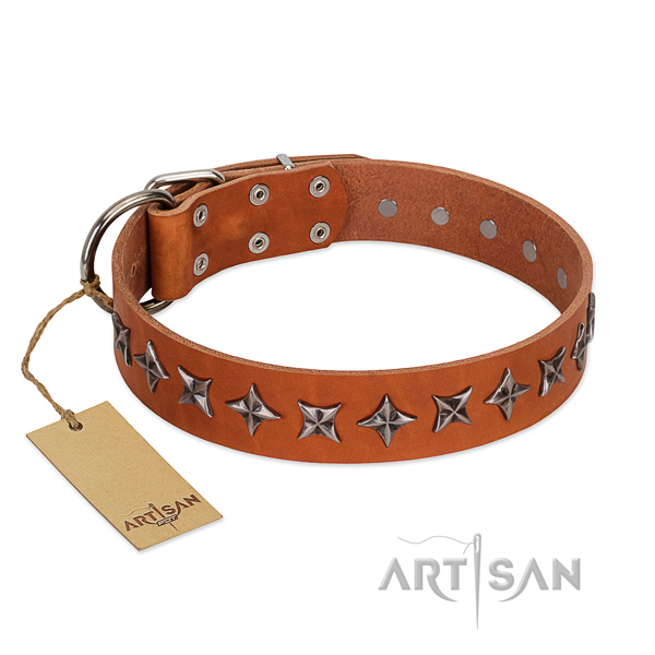 Daily use dog collar of best quality full grain natural leather with embellishments