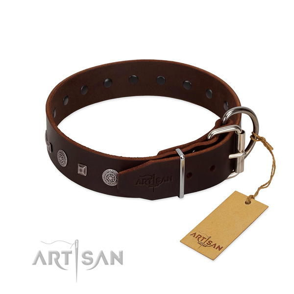 Quality genuine leather dog collar with embellishments