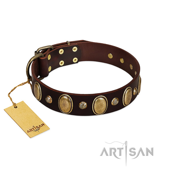 Full grain leather dog collar of top notch material with exceptional embellishments