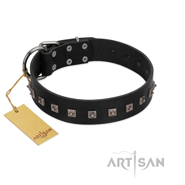 Unusual embellished full grain leather dog collar