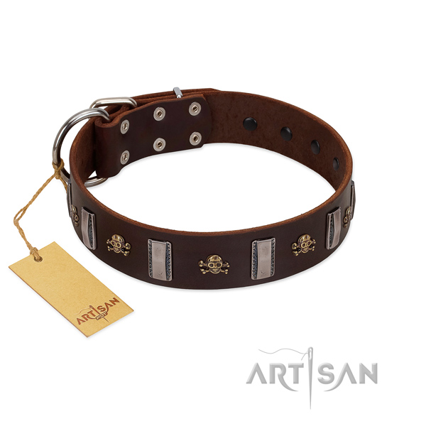 Genuine leather dog collar with extraordinary studs for your pet