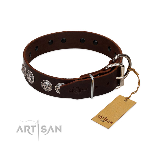 Exquisite leather collar for your canine daily walking