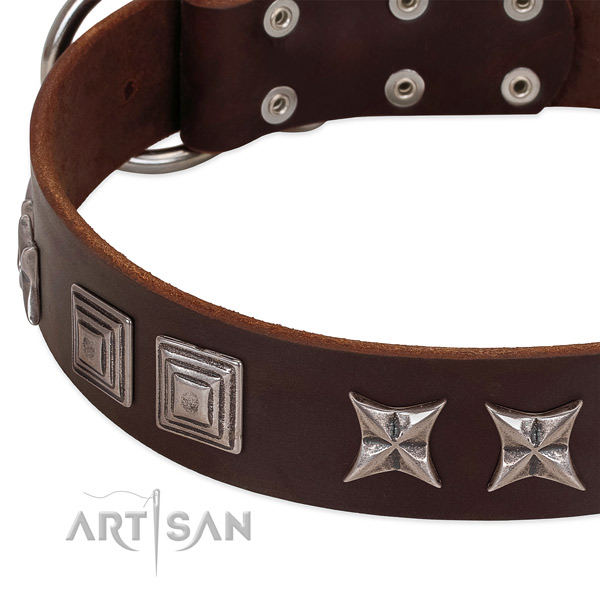 Comfy wearing natural leather dog collar with unusual decorations