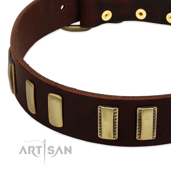 Natural leather dog collar with reliable traditional buckle for daily walking