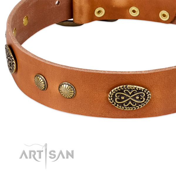 Rust resistant D-ring on Genuine leather dog collar for your doggie