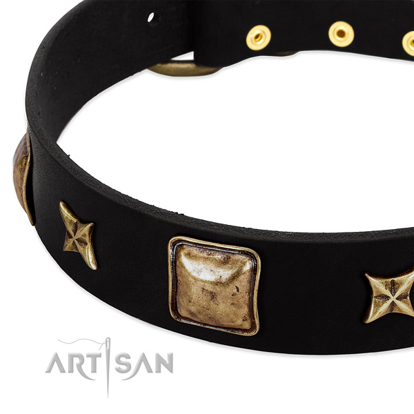 Genuine leather dog collar with significant decorations