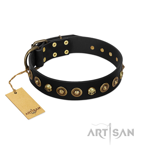 Natural leather collar with stunning embellishments for your pet