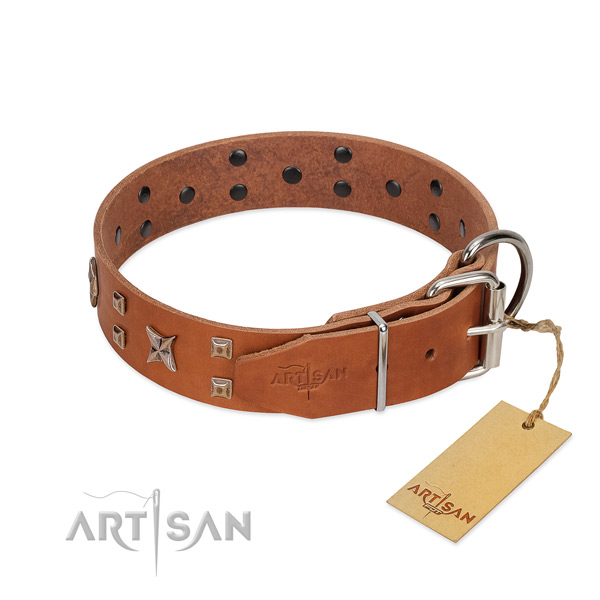 Leather dog collar with embellishments for your impressive doggie