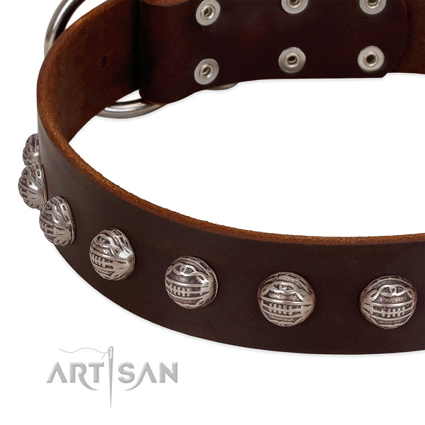 Natural leather collar with exceptional embellishments for your pet