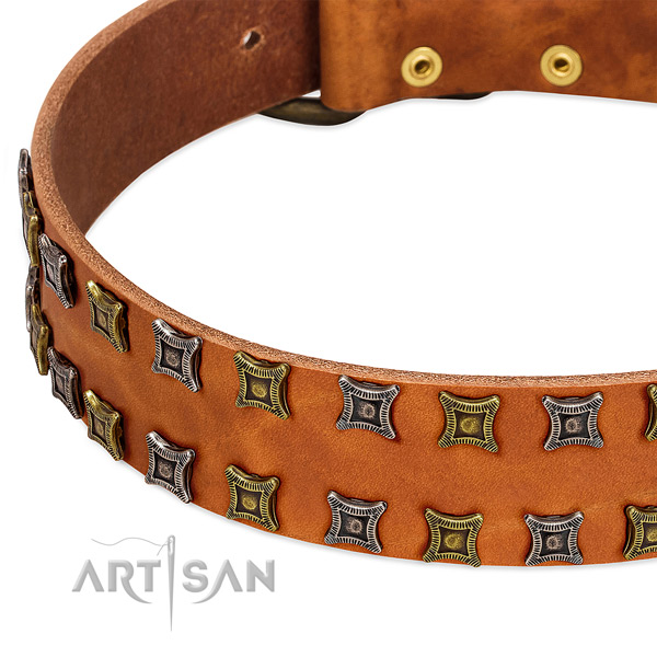 Best quality full grain leather dog collar for your handsome canine