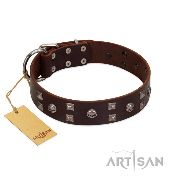Everyday walking dog collar of natural leather with trendy decorations