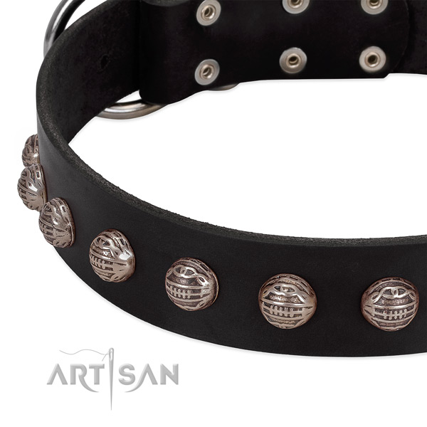 Genuine leather collar with unique embellishments for your pet