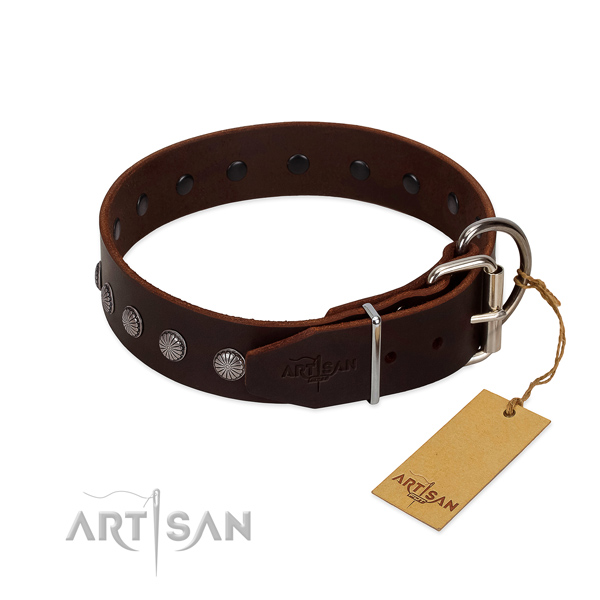 Stunning genuine leather collar for everyday use your pet