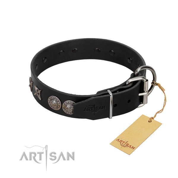 Handy use dog collar of leather with unusual embellishments