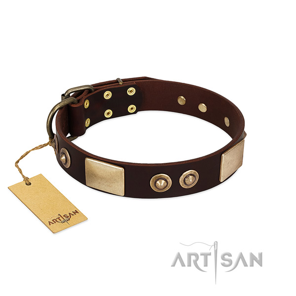 Easy wearing genuine leather dog collar for basic training your pet