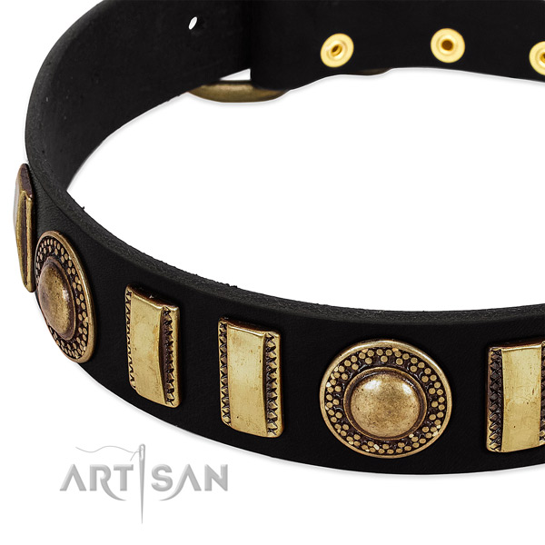Quality leather dog collar with reliable buckle