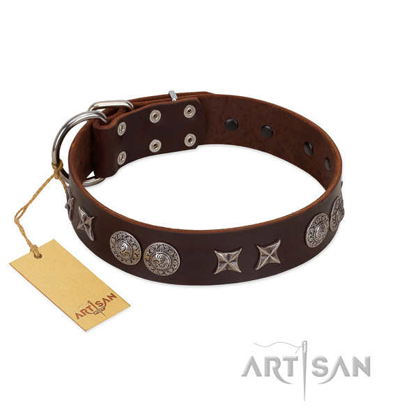 Top rate full grain leather dog collar for your impressive canine