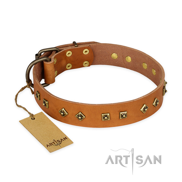 Exquisite full grain natural leather dog collar with rust resistant fittings