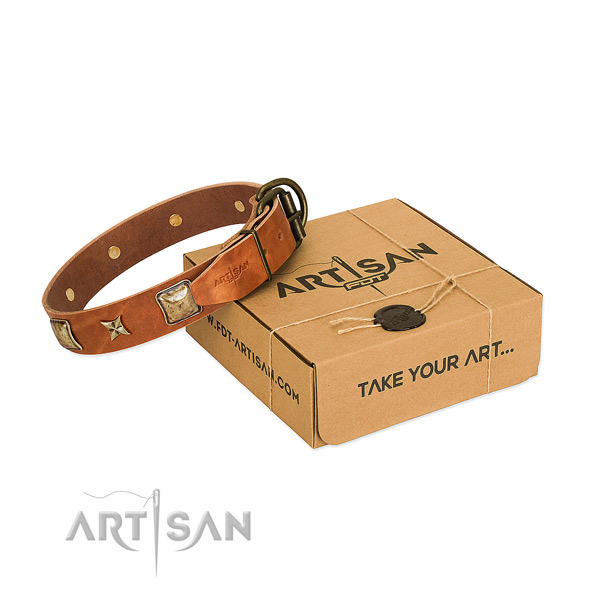 Perfect fit full grain genuine leather collar for your stylish canine