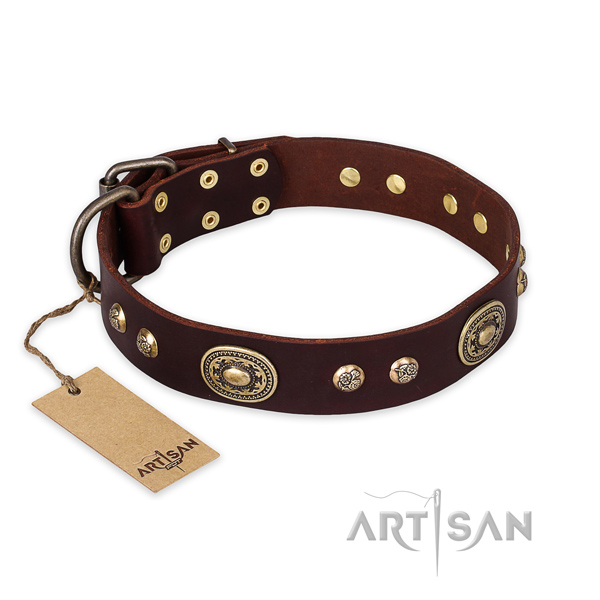 Exquisite full grain leather dog collar for basic training
