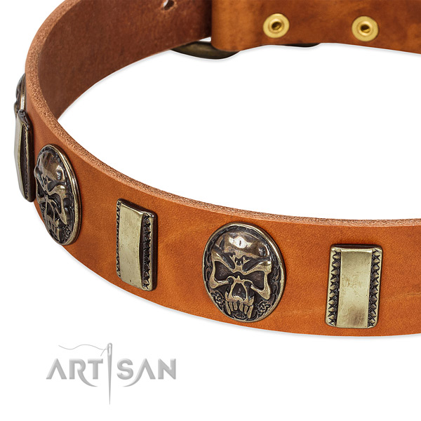 Durable hardware on leather dog collar for your doggie