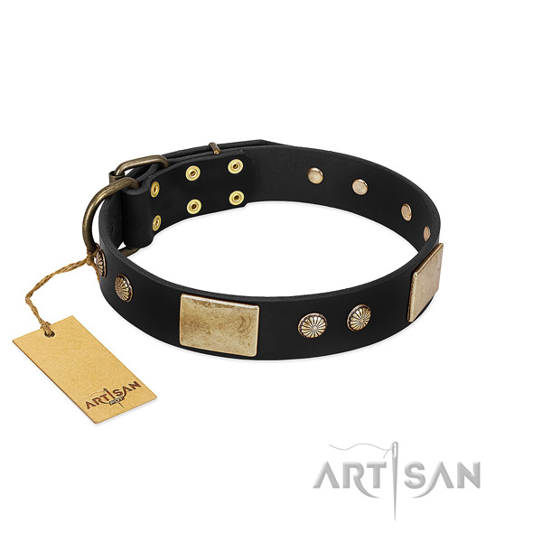 Easy wearing full grain genuine leather dog collar for basic training your doggie