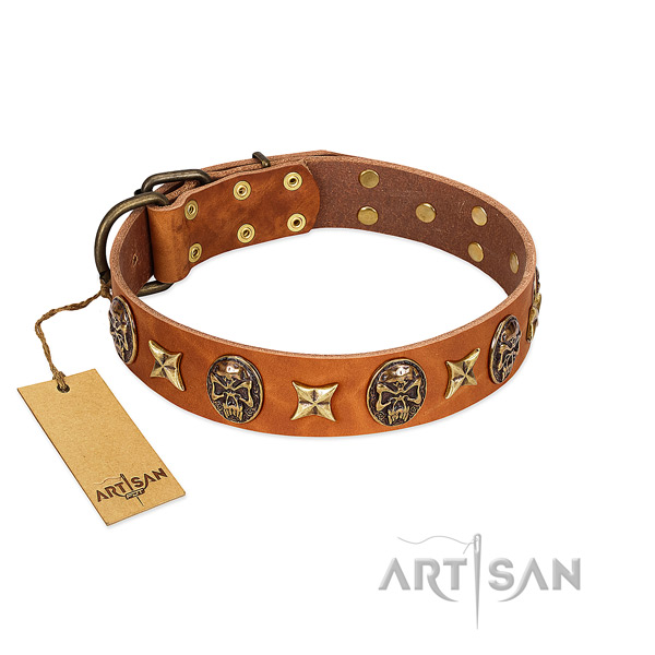 Adjustable genuine leather collar for your canine