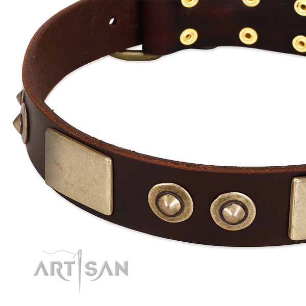 Rust-proof adornments on leather dog collar for your canine