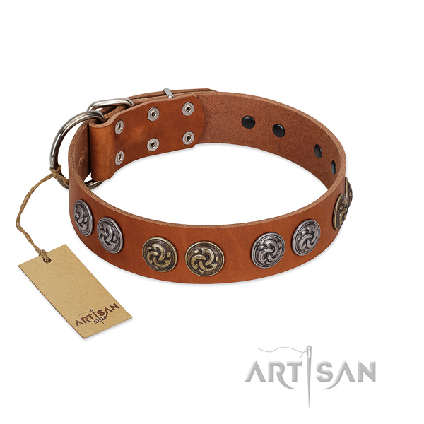 Daily use top notch natural leather dog collar with adornments