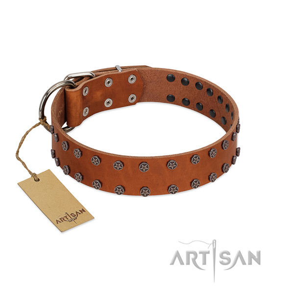 Incredible genuine leather dog collar