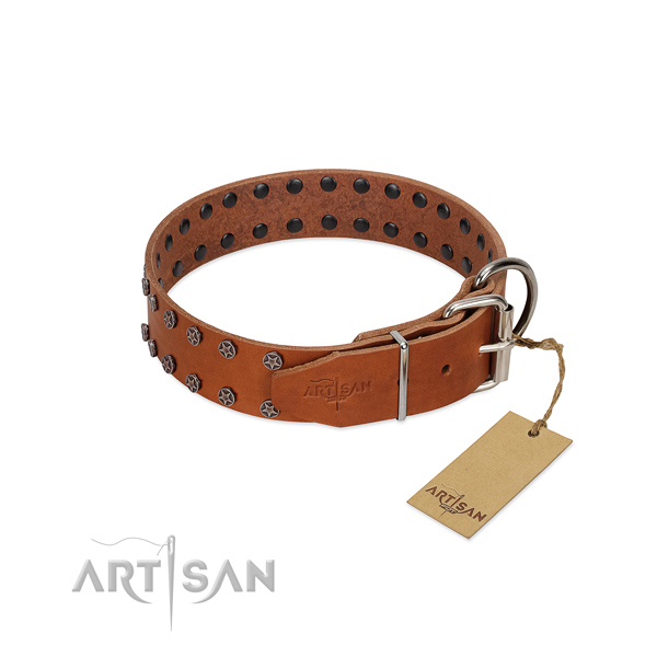 Soft to touch full grain natural leather dog collar with embellishments for your doggie