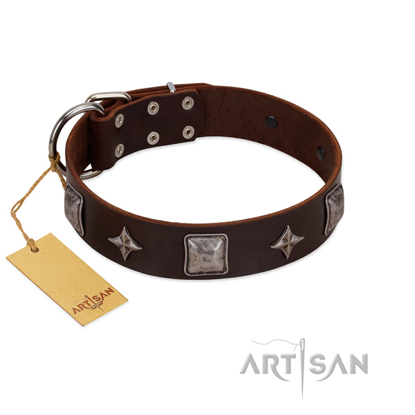 Awesome natural leather collar for your beautiful pet